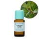 Dafin (Laur) Organic